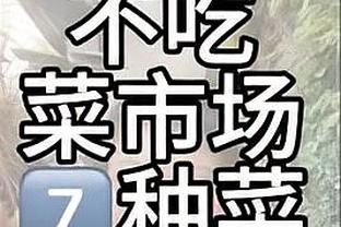 独孤求败！埃因霍温15场15胜，进52球失6球，荷甲冠军还有悬念吗